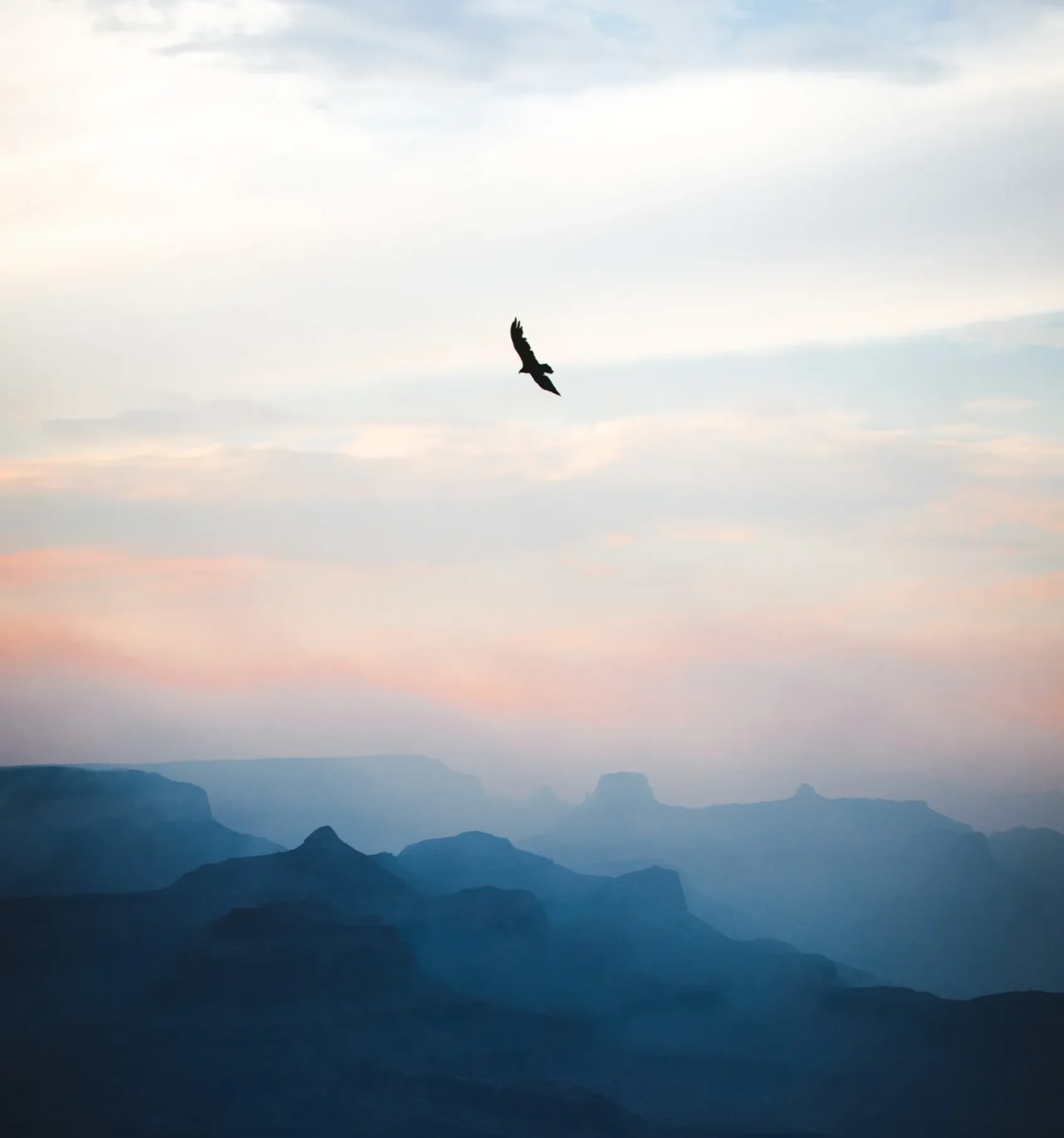 a bird flying over a canyon